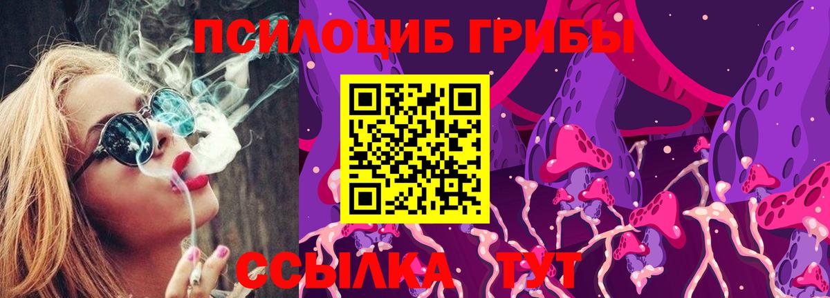 Галлюциногенные грибы Psilocybe Тверь